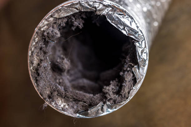 Best Emergency Air Duct Cleaning  in Jamestown, CA