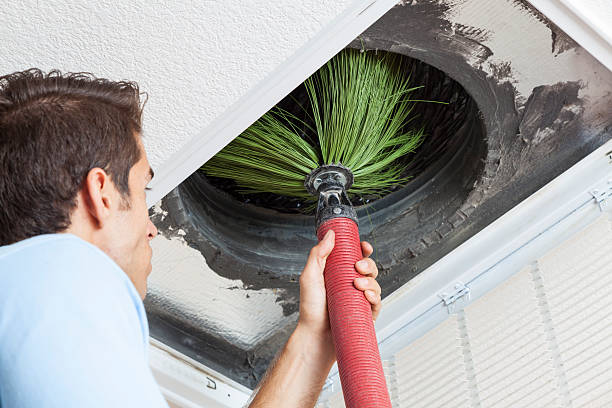 Best Professional Duct Cleaning Services  in Jamestown, CA